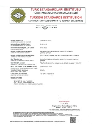 TSI Conformity Certificate