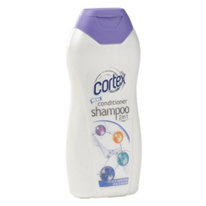 Shampoo 2in1, Dry & Painted Hair